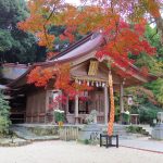 【太宰府市】竈門(かまど)神社の紅葉、駐車場、ライトアップ情報はこちら