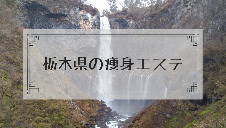 栃木県 宇都宮 の痩身エステで体験ダイエットモニターを募集しているエステサロンまとめ 本当はカフェラテが好きだった