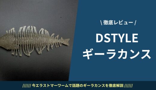 【DSTYLE】ギーラカンス徹底レビュー！重さ・お魚セッティング・フィールド別攻略法